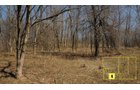 Property photo 29 - Real Estate Auction - 238 Acres Offered in 8 Tracts