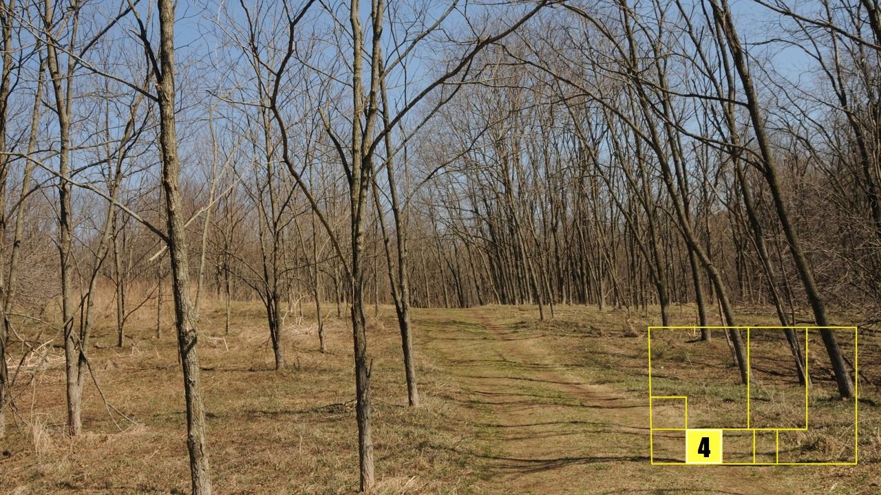 Property photo 30 - Real Estate Auction - 238 Acres Offered in 8 Tracts
