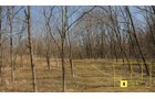 Property photo 30 - Real Estate Auction - 238 Acres Offered in 8 Tracts