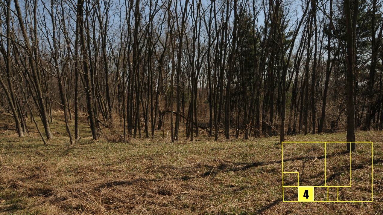 Property photo 33 - Real Estate Auction - 238 Acres Offered in 8 Tracts