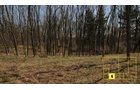 Property photo 33 - Real Estate Auction - 238 Acres Offered in 8 Tracts