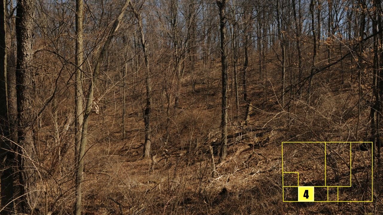 Property photo 34 - Real Estate Auction - 238 Acres Offered in 8 Tracts