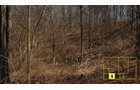 Property photo 34 - Real Estate Auction - 238 Acres Offered in 8 Tracts