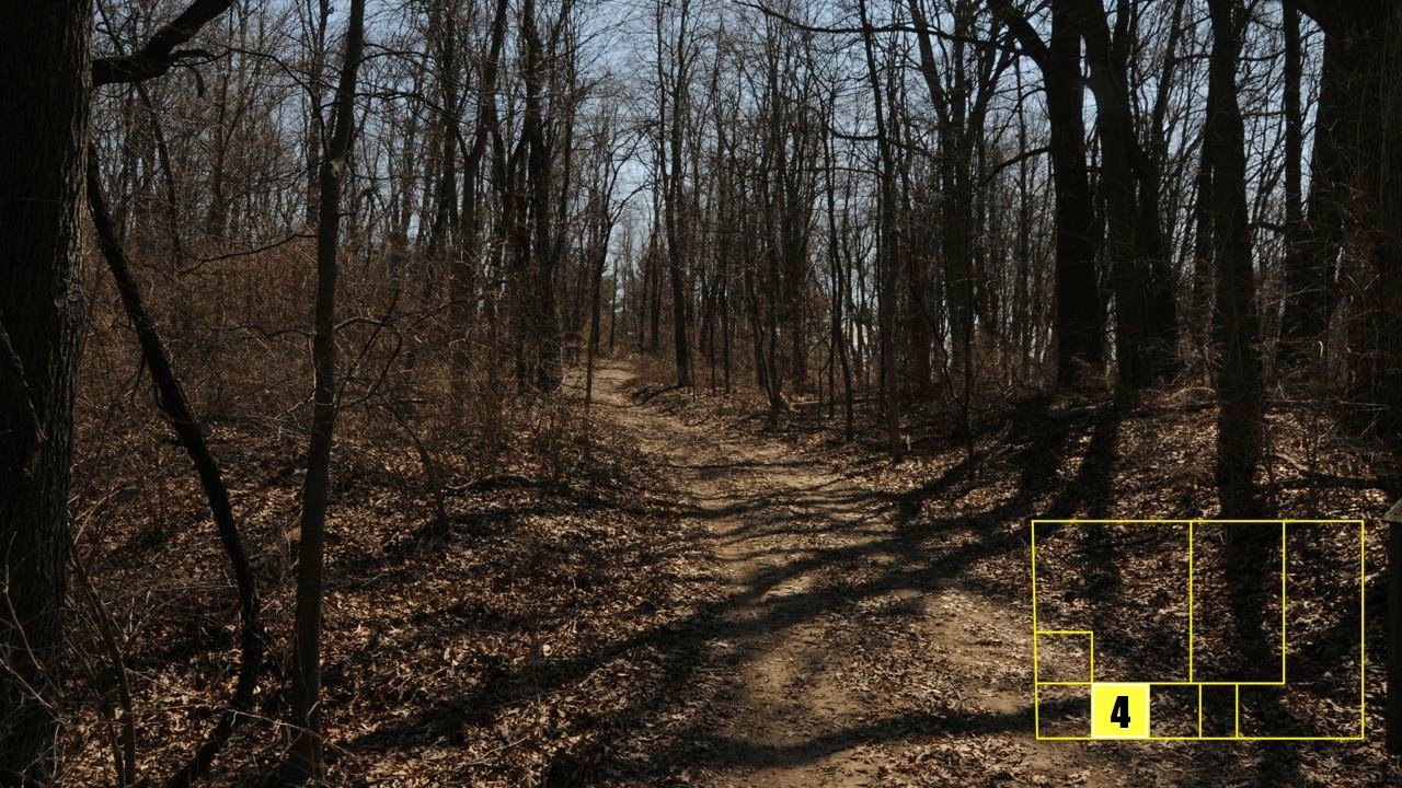 Property photo 35 - Real Estate Auction - 238 Acres Offered in 8 Tracts