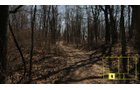 Property photo 35 - Real Estate Auction - 238 Acres Offered in 8 Tracts