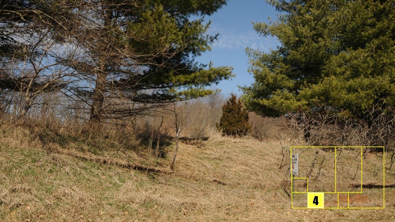 Property photo 91 - Real Estate Auction - 238 Acres Offered in 8 Tracts