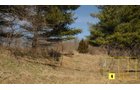 Property photo 91 - Real Estate Auction - 238 Acres Offered in 8 Tracts