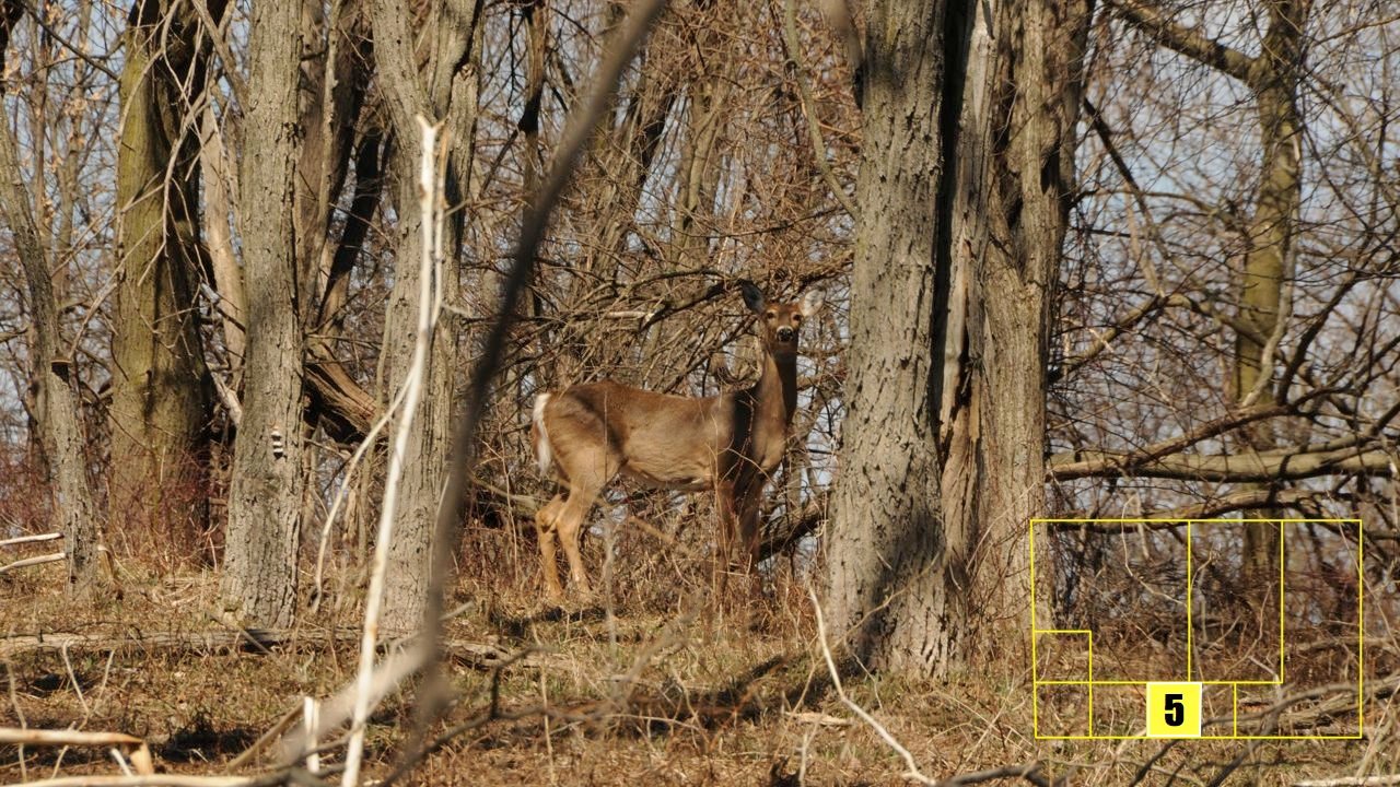 Property photo 36 - Real Estate Auction - 238 Acres Offered in 8 Tracts