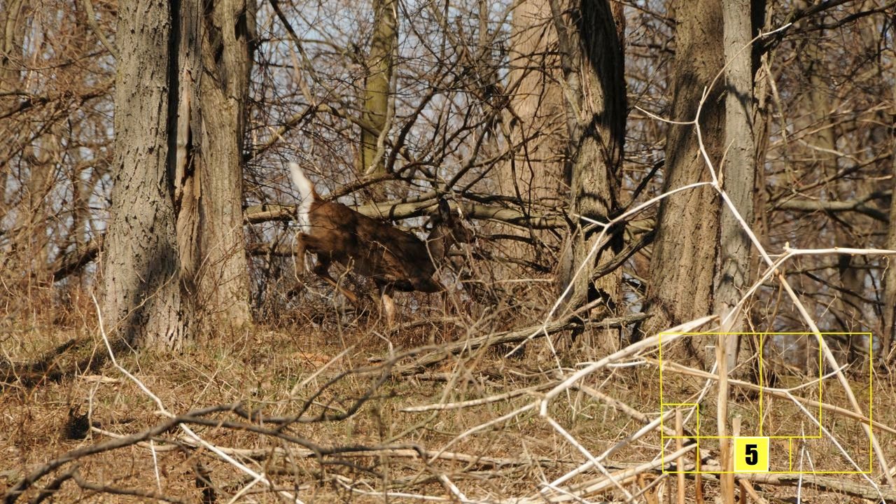 Property photo 79 - Real Estate Auction - 238 Acres Offered in 8 Tracts