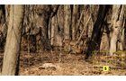 Property photo 37 - Real Estate Auction - 238 Acres Offered in 8 Tracts