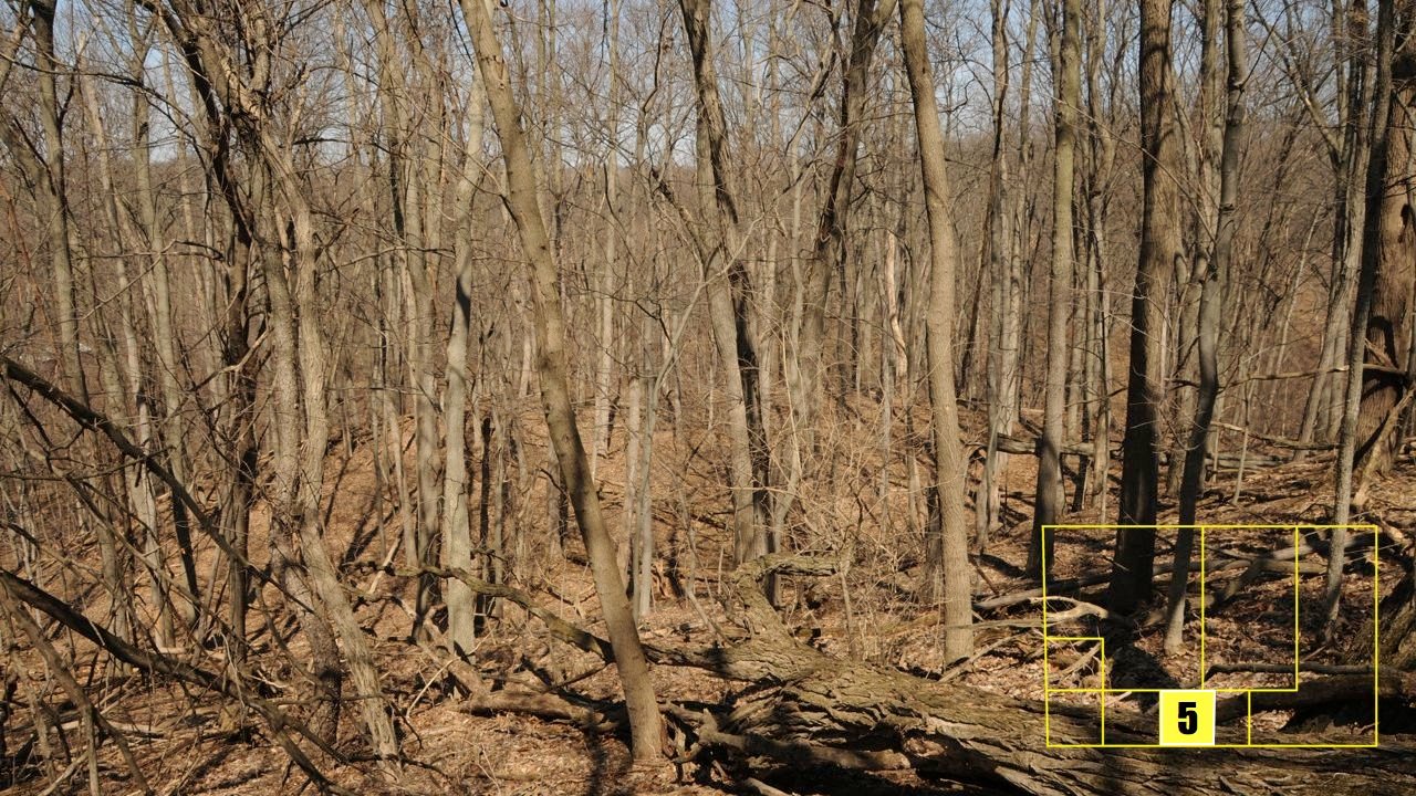 Property photo 38 - Real Estate Auction - 238 Acres Offered in 8 Tracts