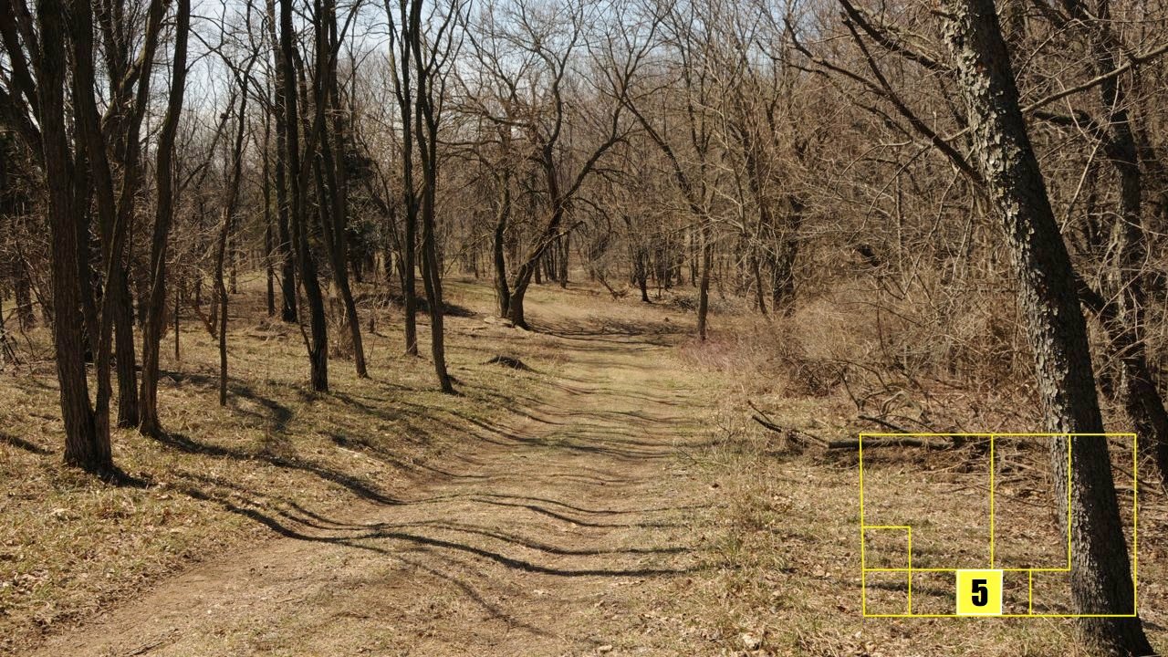 Property photo 39 - Real Estate Auction - 238 Acres Offered in 8 Tracts