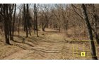 Property photo 39 - Real Estate Auction - 238 Acres Offered in 8 Tracts