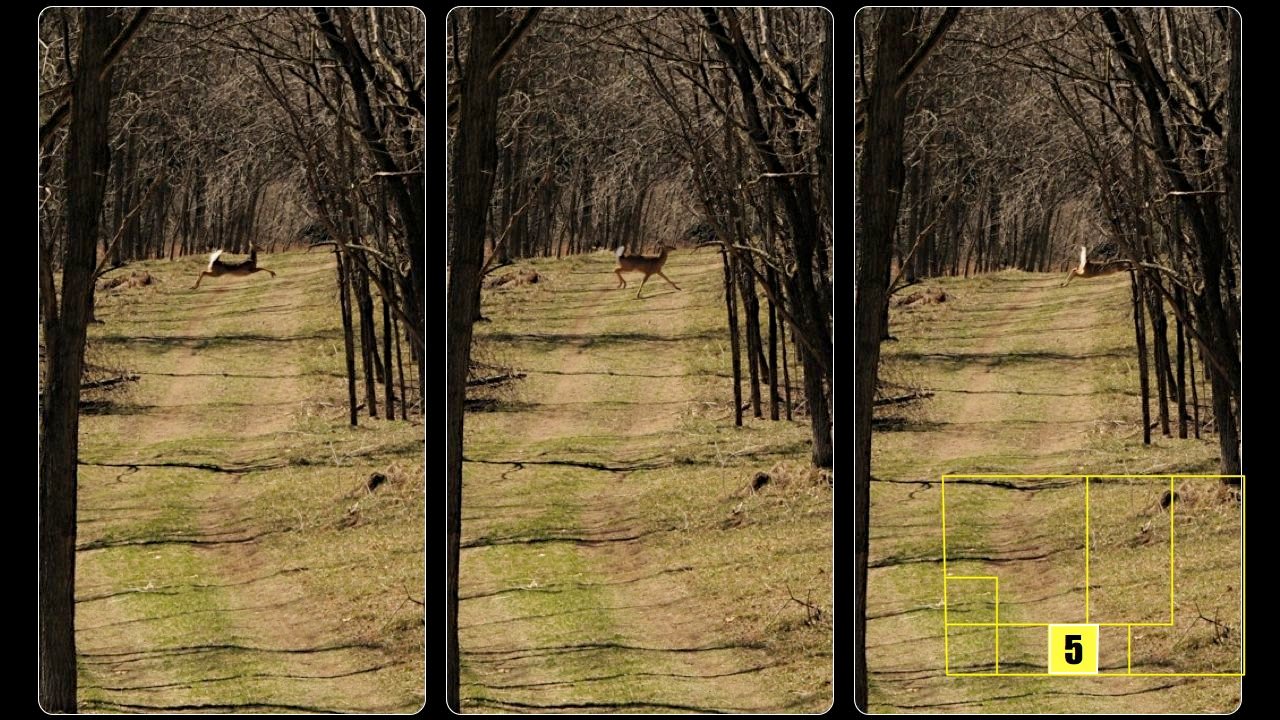 Property photo 40 - Real Estate Auction - 238 Acres Offered in 8 Tracts