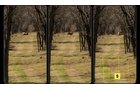 Property photo 40 - Real Estate Auction - 238 Acres Offered in 8 Tracts