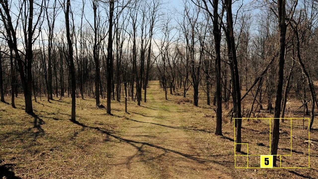Property photo 41 - Real Estate Auction - 238 Acres Offered in 8 Tracts
