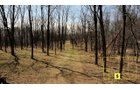 Property photo 41 - Real Estate Auction - 238 Acres Offered in 8 Tracts