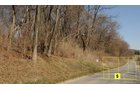 Property photo 42 - Real Estate Auction - 238 Acres Offered in 8 Tracts