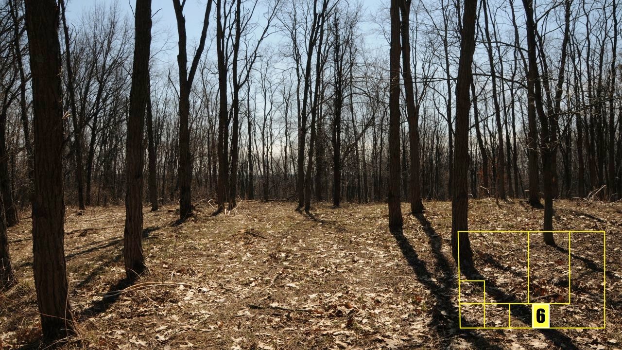 Property photo 44 - Real Estate Auction - 238 Acres Offered in 8 Tracts