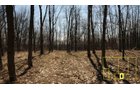 Property photo 44 - Real Estate Auction - 238 Acres Offered in 8 Tracts
