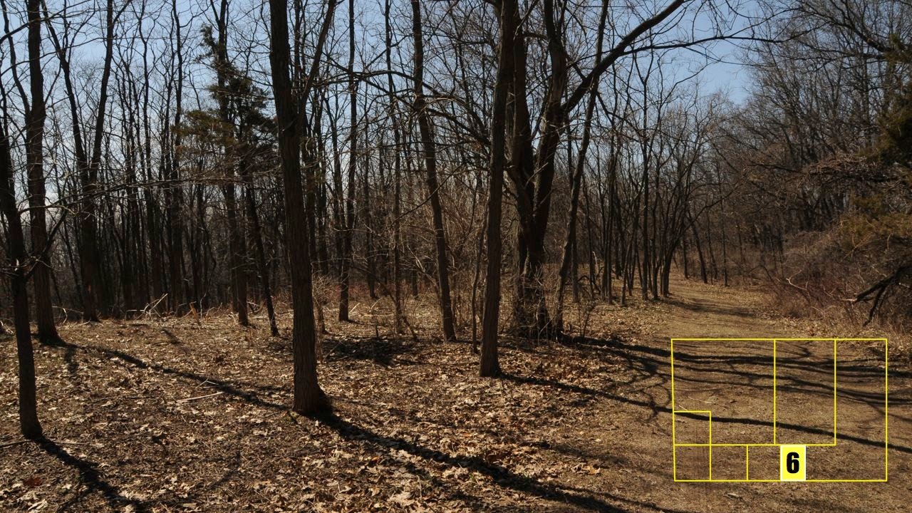 Property photo 45 - Real Estate Auction - 238 Acres Offered in 8 Tracts