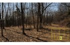 Property photo 45 - Real Estate Auction - 238 Acres Offered in 8 Tracts
