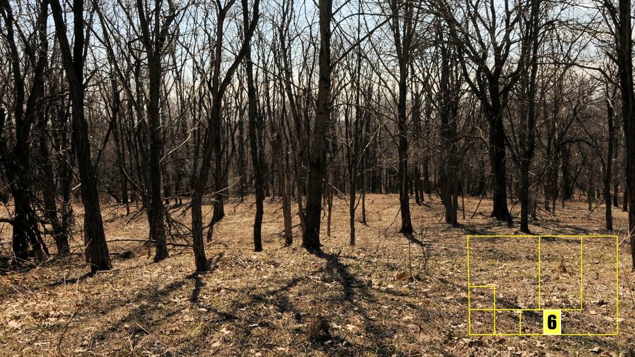 Property photo 46 - Real Estate Auction - 238 Acres Offered in 8 Tracts