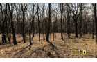 Property photo 46 - Real Estate Auction - 238 Acres Offered in 8 Tracts