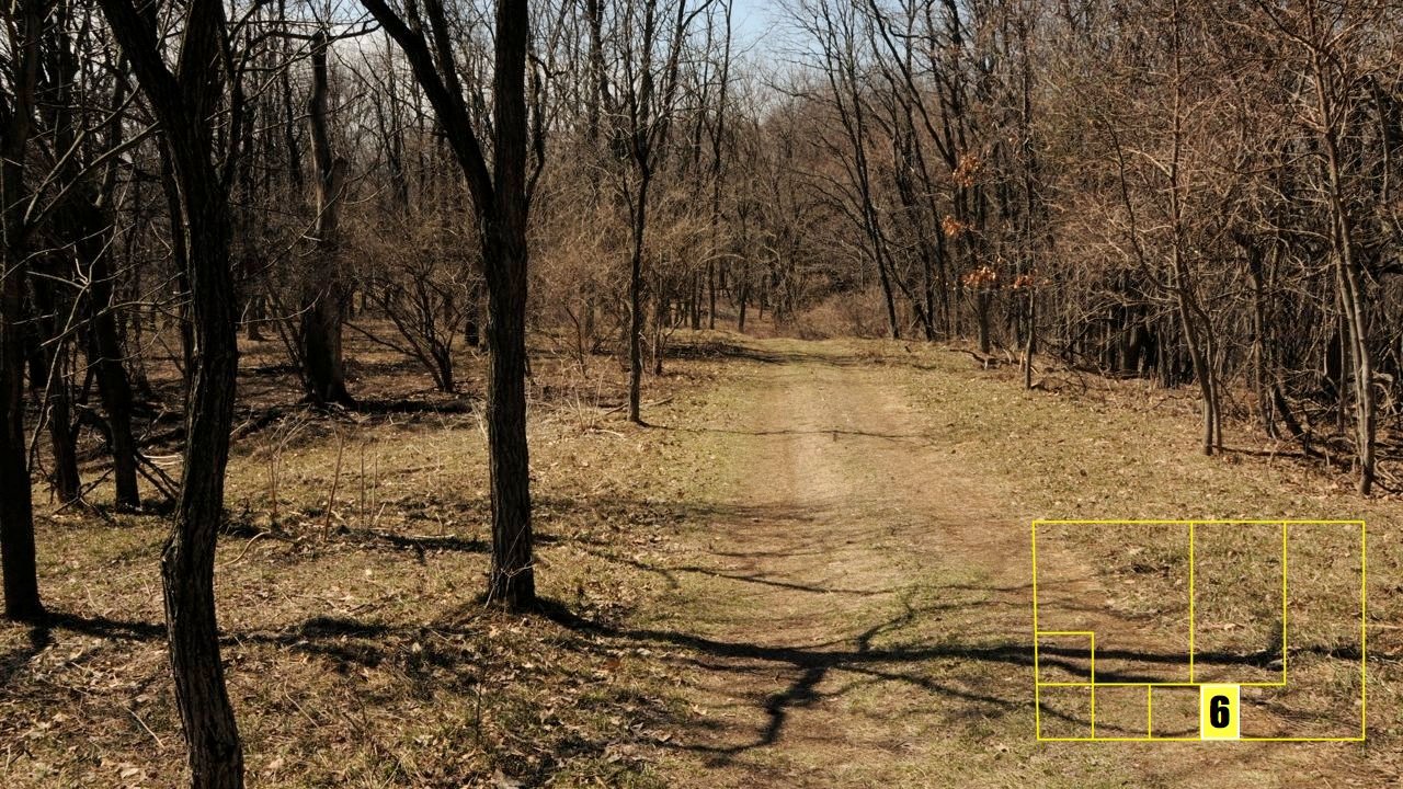 Property photo 47 - Real Estate Auction - 238 Acres Offered in 8 Tracts