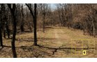 Property photo 47 - Real Estate Auction - 238 Acres Offered in 8 Tracts