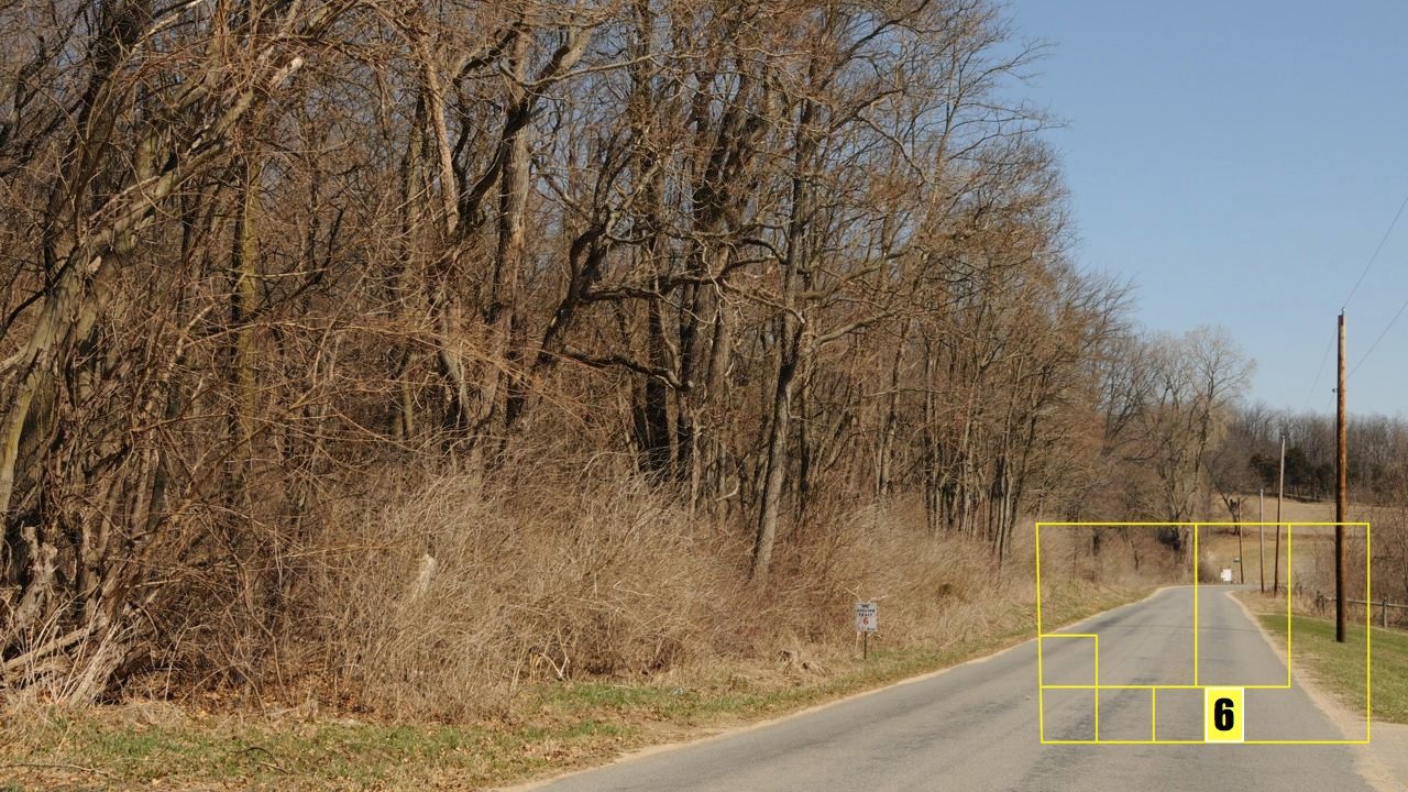 Property photo 49 - Real Estate Auction - 238 Acres Offered in 8 Tracts