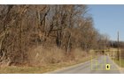 Property photo 49 - Real Estate Auction - 238 Acres Offered in 8 Tracts