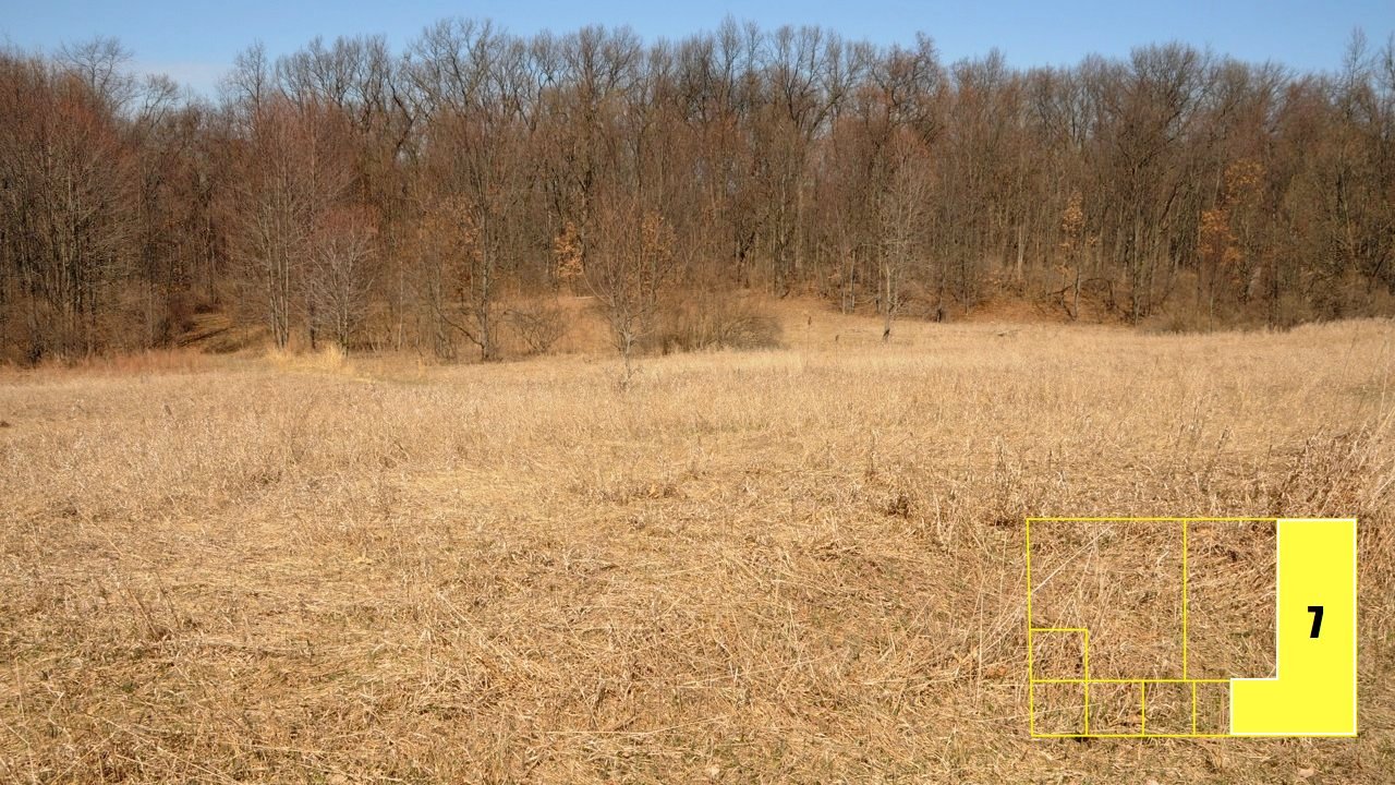 Property photo 51 - Real Estate Auction - 238 Acres Offered in 8 Tracts