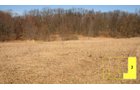 Property photo 51 - Real Estate Auction - 238 Acres Offered in 8 Tracts