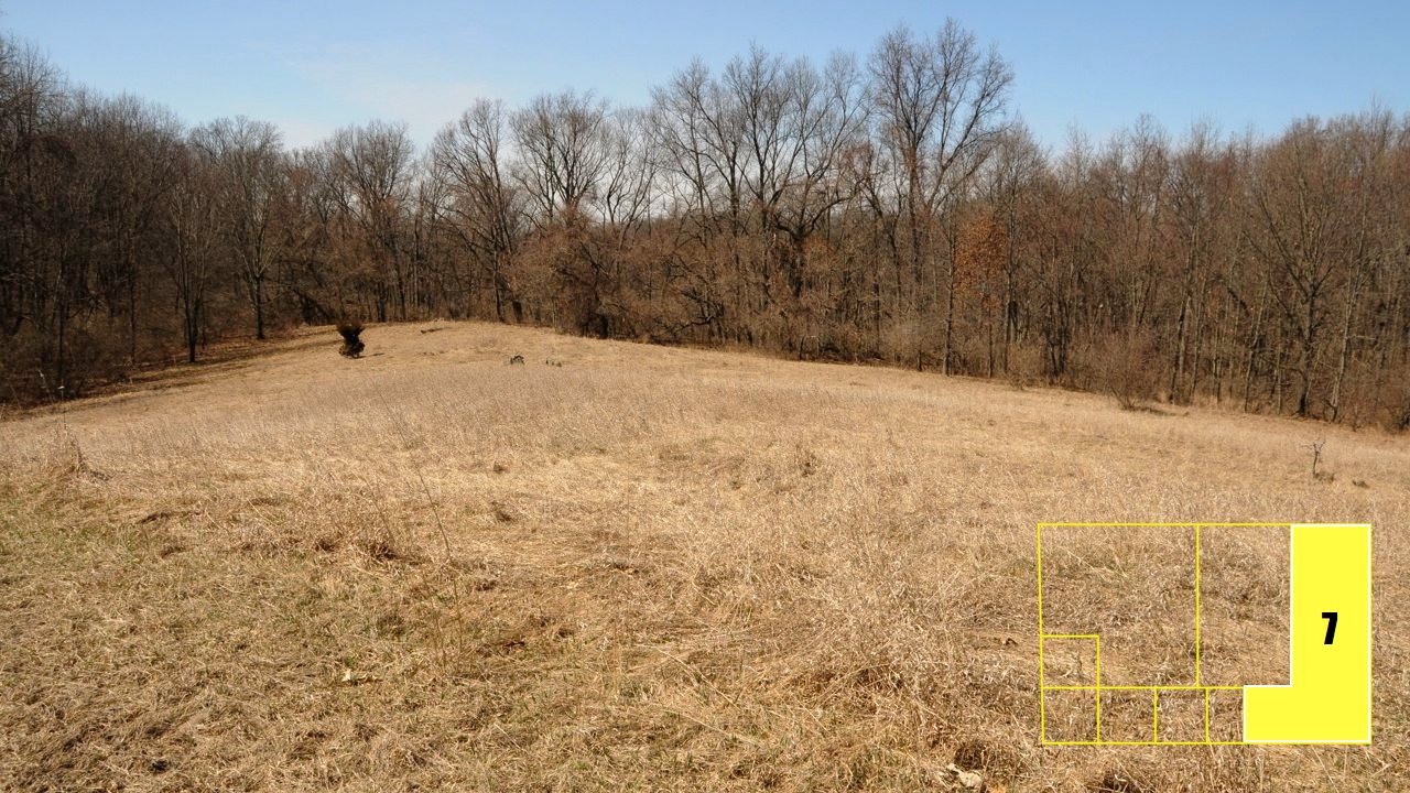 Property photo 52 - Real Estate Auction - 238 Acres Offered in 8 Tracts