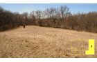 Property photo 52 - Real Estate Auction - 238 Acres Offered in 8 Tracts