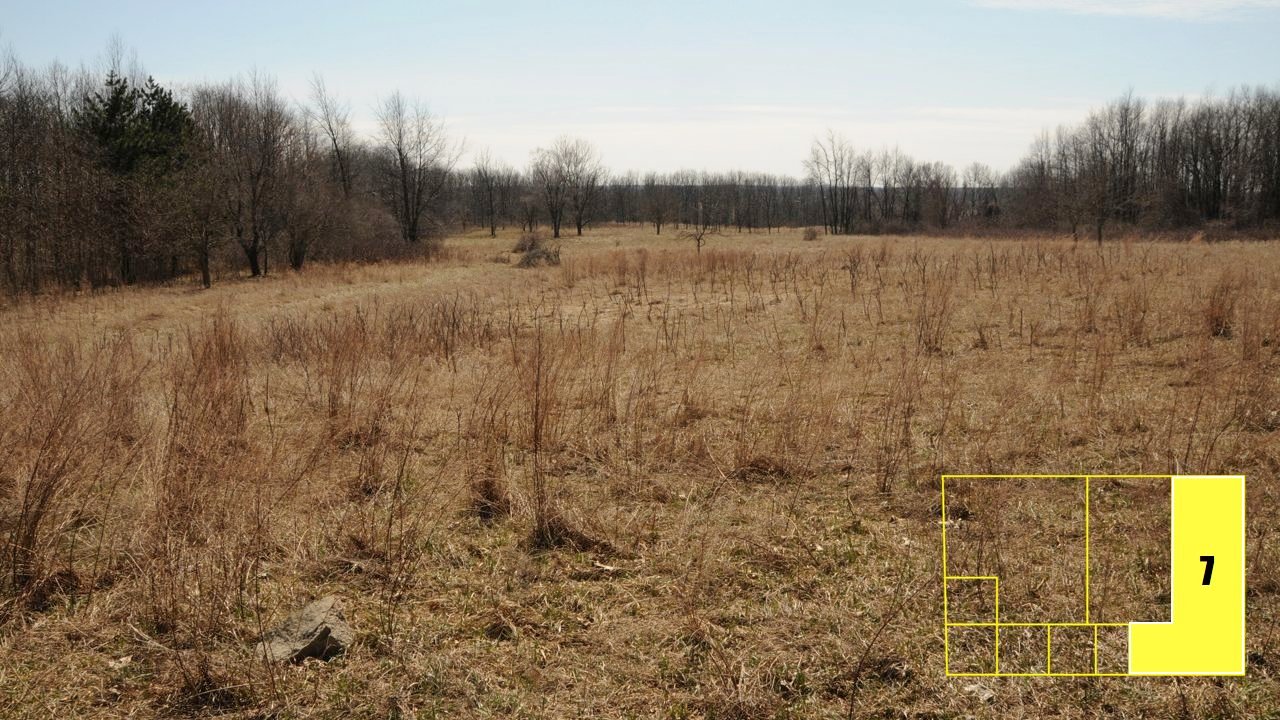 Property photo 53 - Real Estate Auction - 238 Acres Offered in 8 Tracts