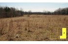 Property photo 53 - Real Estate Auction - 238 Acres Offered in 8 Tracts