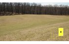 Property photo 56 - Real Estate Auction - 238 Acres Offered in 8 Tracts