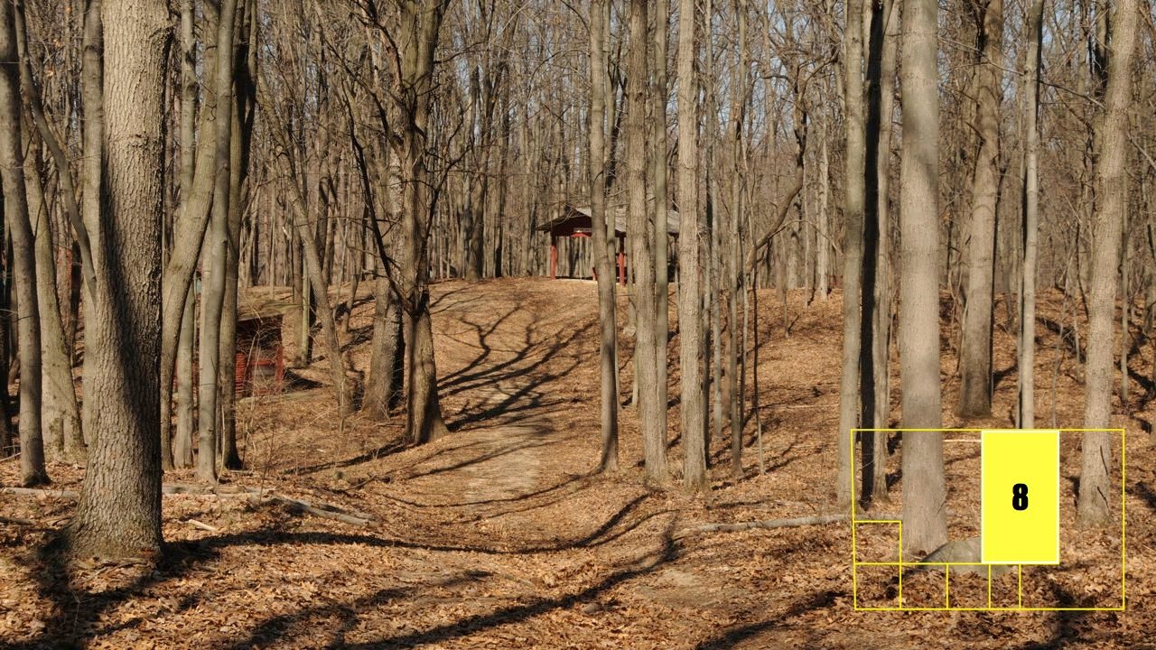 Property photo 59 - Real Estate Auction - 238 Acres Offered in 8 Tracts
