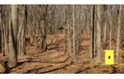 Property photo 59 - Real Estate Auction - 238 Acres Offered in 8 Tracts
