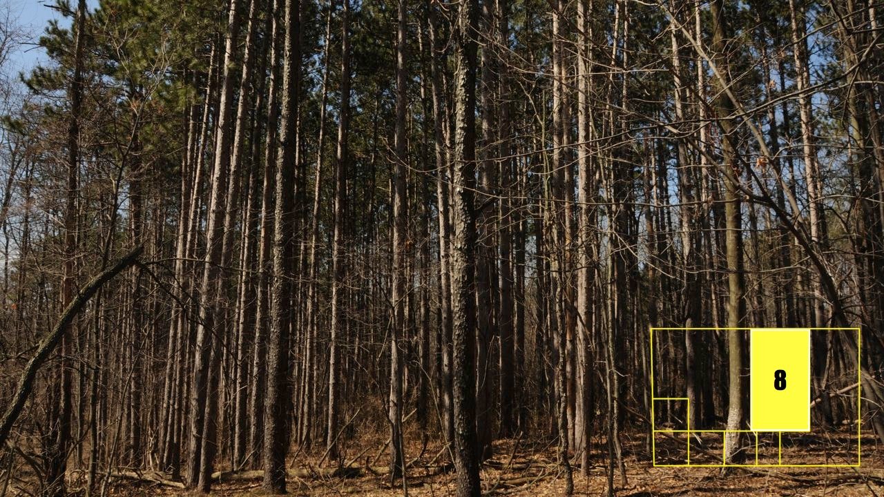 Property photo 60 - Real Estate Auction - 238 Acres Offered in 8 Tracts