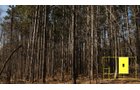 Property photo 60 - Real Estate Auction - 238 Acres Offered in 8 Tracts