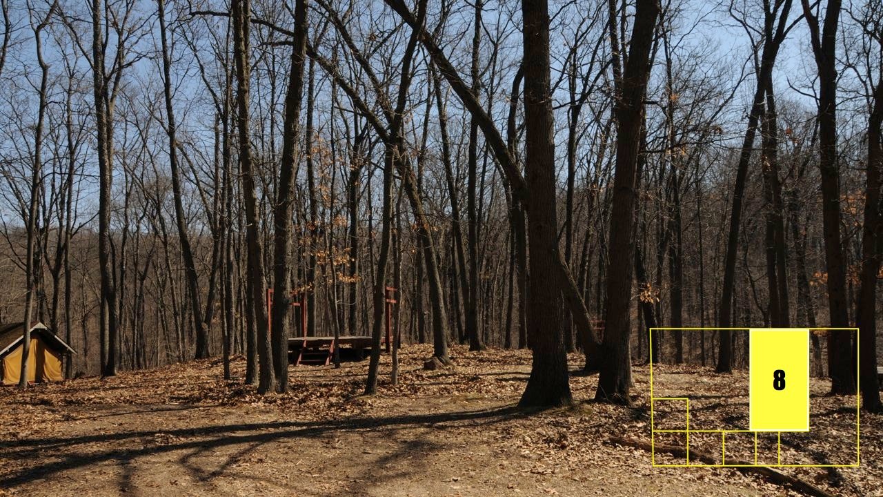 Property photo 65 - Real Estate Auction - 238 Acres Offered in 8 Tracts