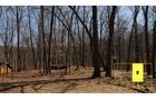 Property photo 65 - Real Estate Auction - 238 Acres Offered in 8 Tracts