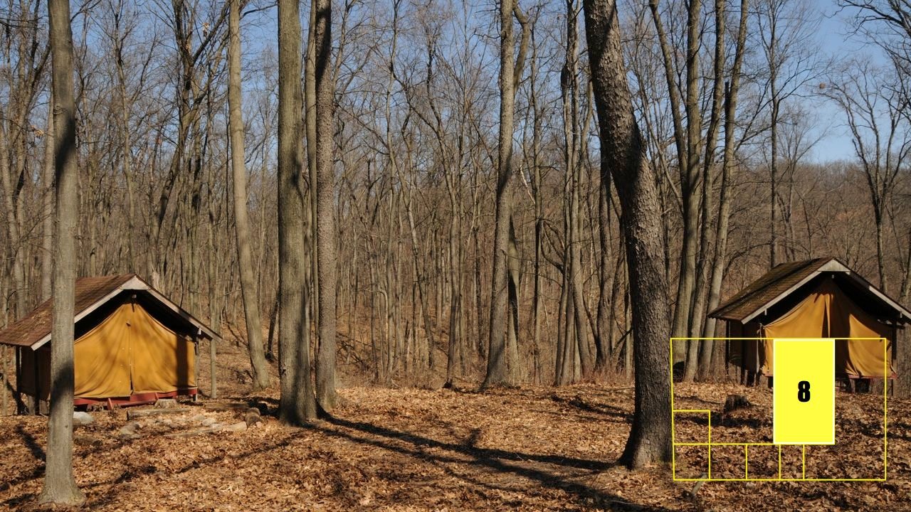 Property photo 61 - Real Estate Auction - 238 Acres Offered in 8 Tracts