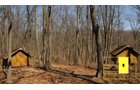 Property photo 61 - Real Estate Auction - 238 Acres Offered in 8 Tracts