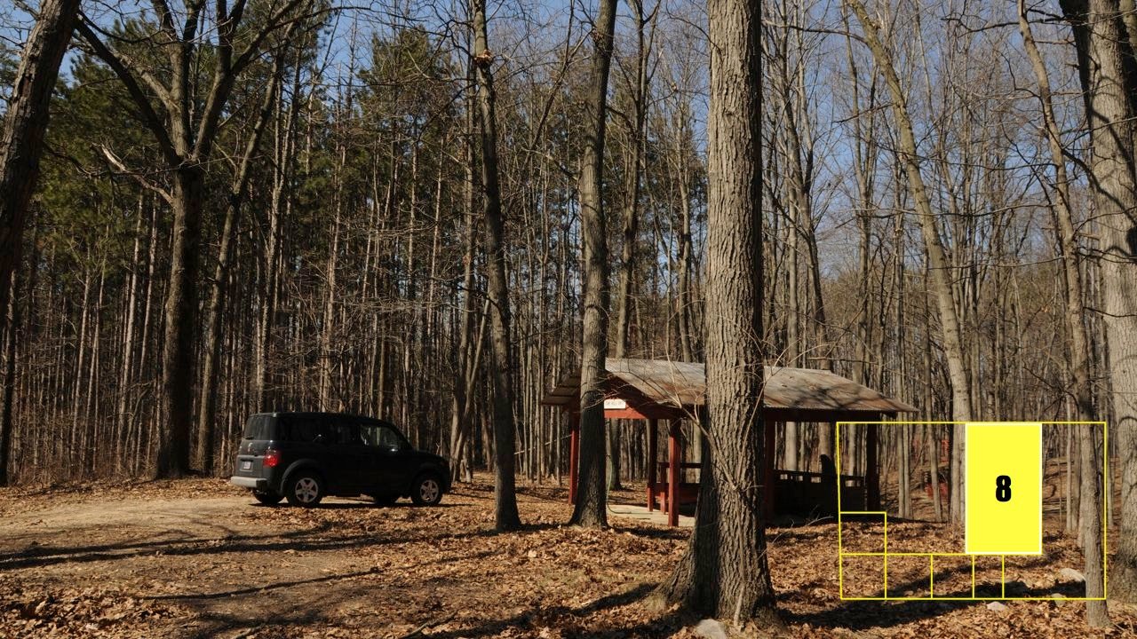 Property photo 62 - Real Estate Auction - 238 Acres Offered in 8 Tracts