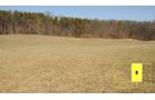 Property photo 88 - Real Estate Auction - 238 Acres Offered in 8 Tracts