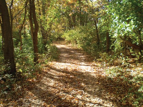 Property photo 86 - Real Estate Auction - 238 Acres Offered in 8 Tracts